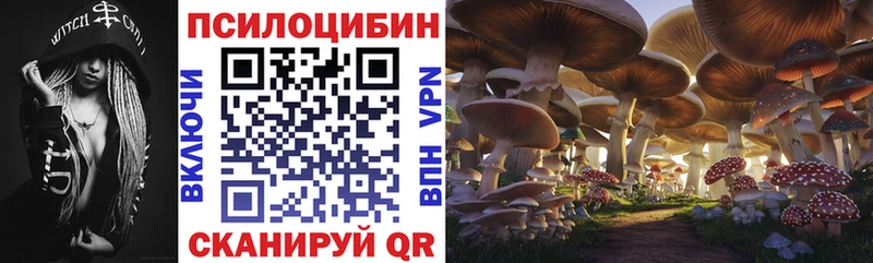 Галлюциногенные грибы GOLDEN TEACHER  блэк спрут как войти  Новомичуринск 